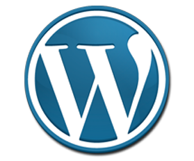 web-design-wordpress1